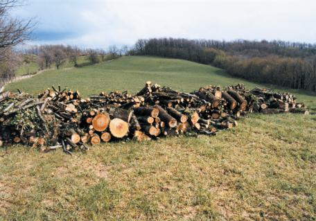 I prodotti legnosi in Umbria e il loro uso Oltre il 90% della produzione legnosa è legna da ardere Circa il 40% delle famiglie fa uso