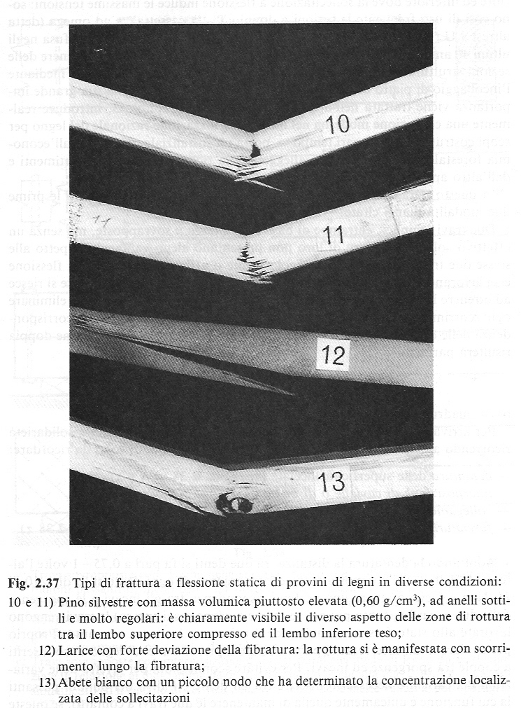 Le caratteristiche meccaniche del legno La resistenza a flessione La rottura a