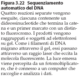 Dal Volume: La Cellula, un approccio