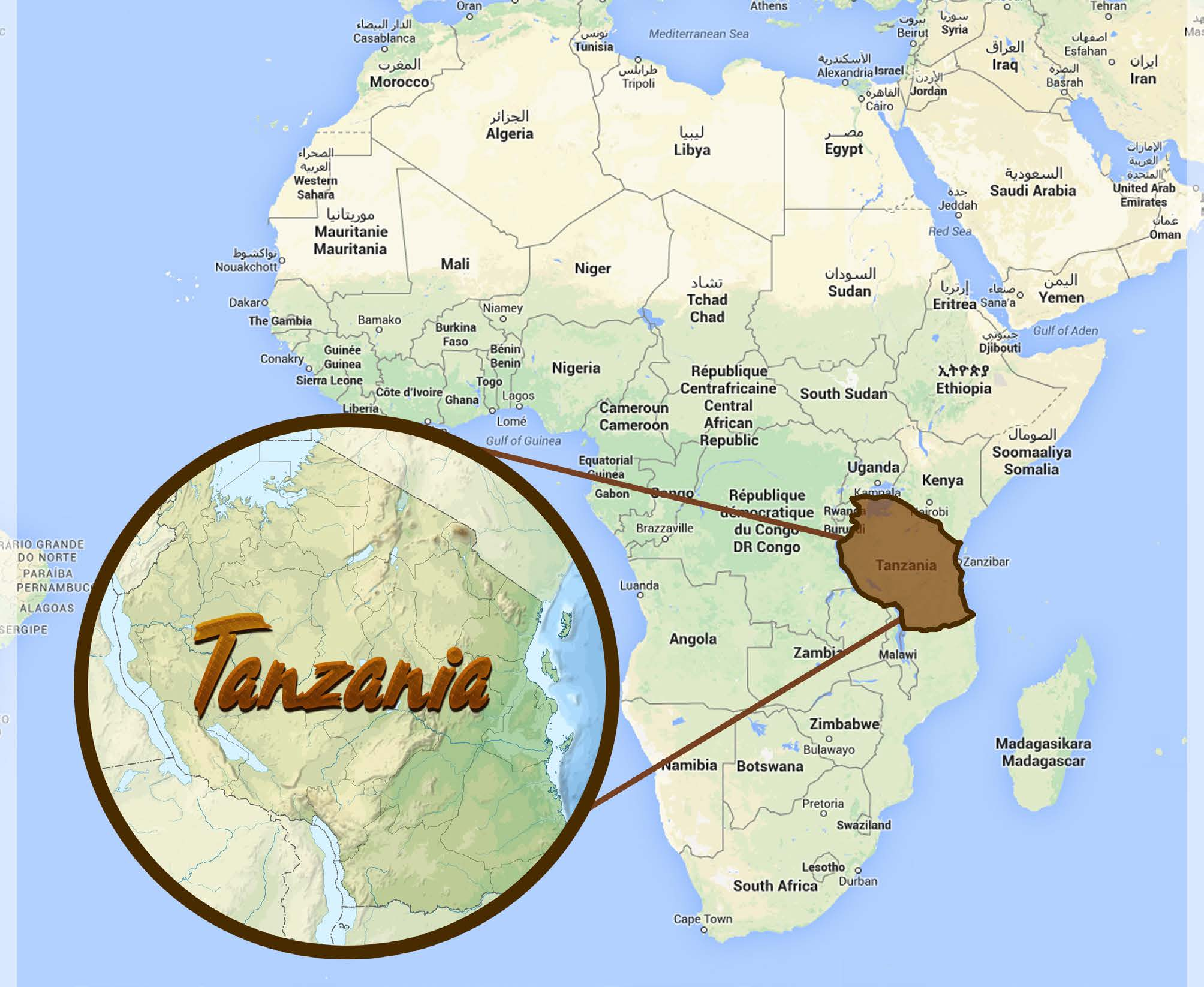 Safari Twiga Parchi visitati: TARANGIRE - NGORONGORO Durata: 4 giorni Descrizione del Viaggio e Mappa dei Parchi Questo viaggio/safari ci porterà nella Tanzania del Nord, la terra dei grandi parchi,