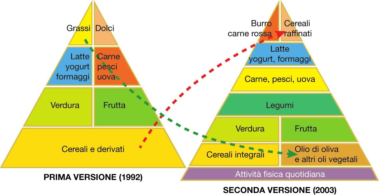 LA PIRAMIDE ALIMENTARE La Food Guide Pyramid è stata diffusa negli Stati Uniti a partire dal 1992 dalla Human Nutrition Information Service dell USDA (United States Departement of Agricolture) e