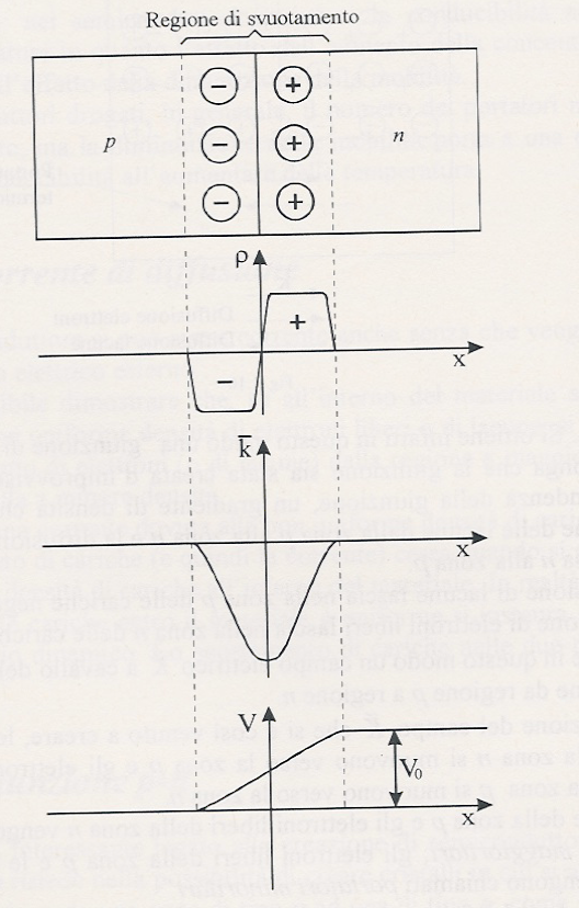 Giunzione p-n (3) Schema della giunzione p-n