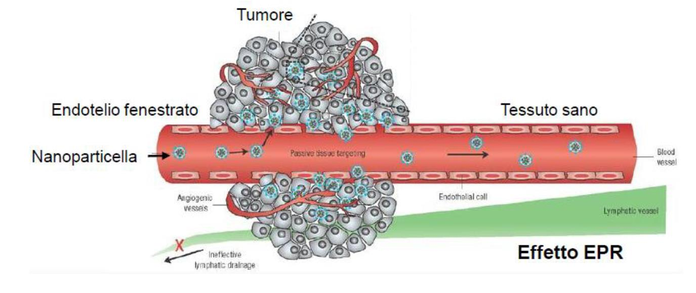 EFFETTO EPR EFFETTO DI AUMENTATA PERMEABILITÀ E RITENZIONE (EPR) è un fenomeno passivo scoperto da Matsumura e Maeda nel 1986 osservato in quasi tutti i tumori umani.