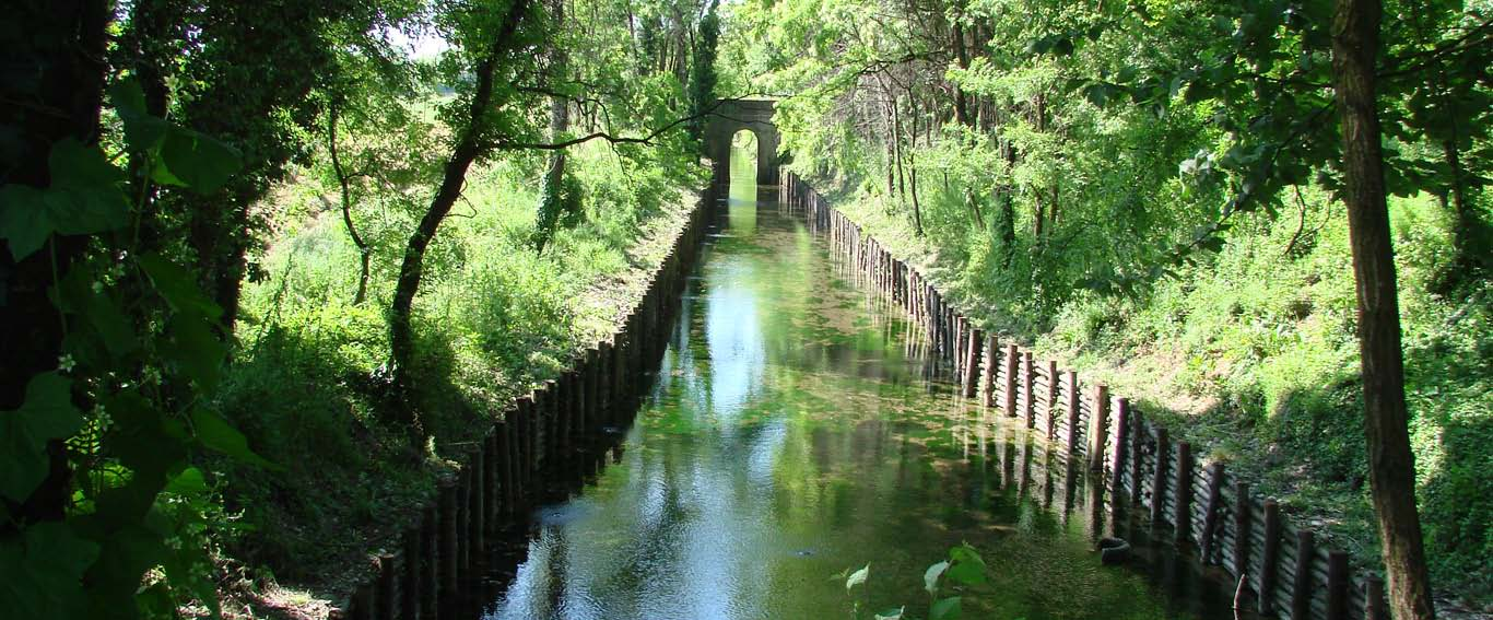 sviluppiamo INGEGNERIA NATURALISTICA CON IL PATROCINIO DI ASSOCIAZIONE ITALIANA PER L INGEGNERIA NATURALISTICA COLLEGIO PROVINCIALE DEI PERITI AGRARI E PERITI AGRARI LAUREATI DI SALERNO ORDINE DEI