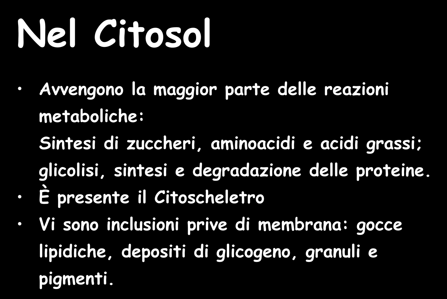 Nel Citosol Avvengono la maggior parte delle reazioni metaboliche: Sintesi di zuccheri, aminoacidi e acidi grassi; glicolisi, sintesi e