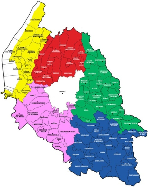 Sommario Anagrafica soggetti intervistati 5 Popolazione di riferimento L indagine è stata indirizzata agli utenti del territorio veronese,