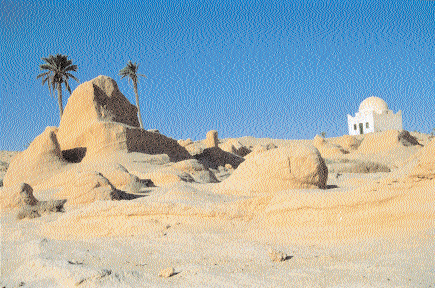 RIPRESA DESERTO E DINTORNI Suggerimenti sul campo per un itinerario fotografico in Tunisia Kebili Tour sahariano Organizzato da diversi tour operator nel sud della Tunisia, il percorso che