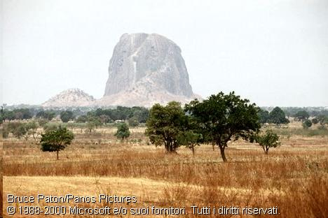 La savana è l'ambiente