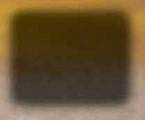PIUMINO LOGO nero T-SHIRT RIDERS bianca/nera/ marrone/gialla PIUMINO RACERS bianco FELPA START bianca/nera/ verde militare/blu navy
