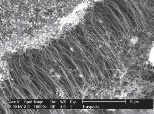 Struttura di un nanotubo di carbonio: è