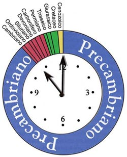 La storia della vita sulla Terra Le diverse età della Terra: il calendario geologico Il concetto di tempo ha accompagnato il pensiero dell'uomo sin dalle sue origini, in quanto egli ha sempre sentito