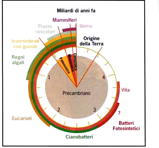 La storia della vita sulla Terra Le diverse età della Terra: il calendario