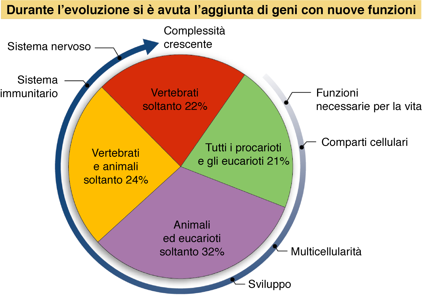 La complessità si associa