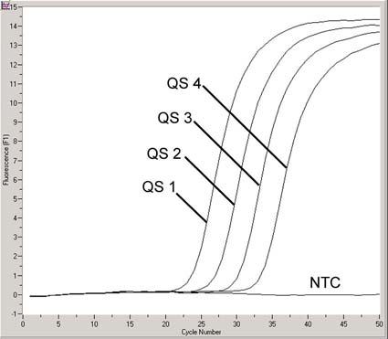 Fig. 7: Rilevazione degli Standard di quantificazione (WNV LC/TM QS 1 4) nel canale F1 del fluorimetro.
