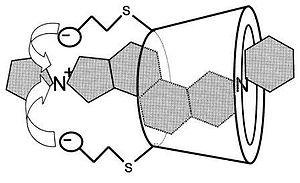 Sugammadex (Bridion ) Antagonista per rocuronio e vecuraonio.