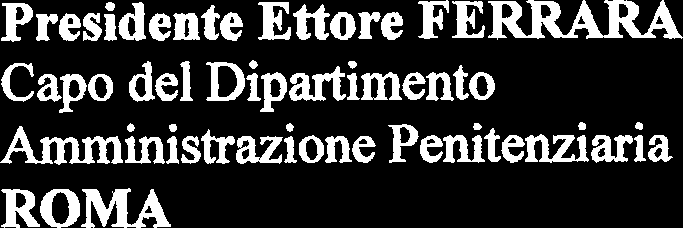 Nulla di quanto si è visto corrisponde alla realtà della quotidiana vita penitenziaria - tutt'altro!