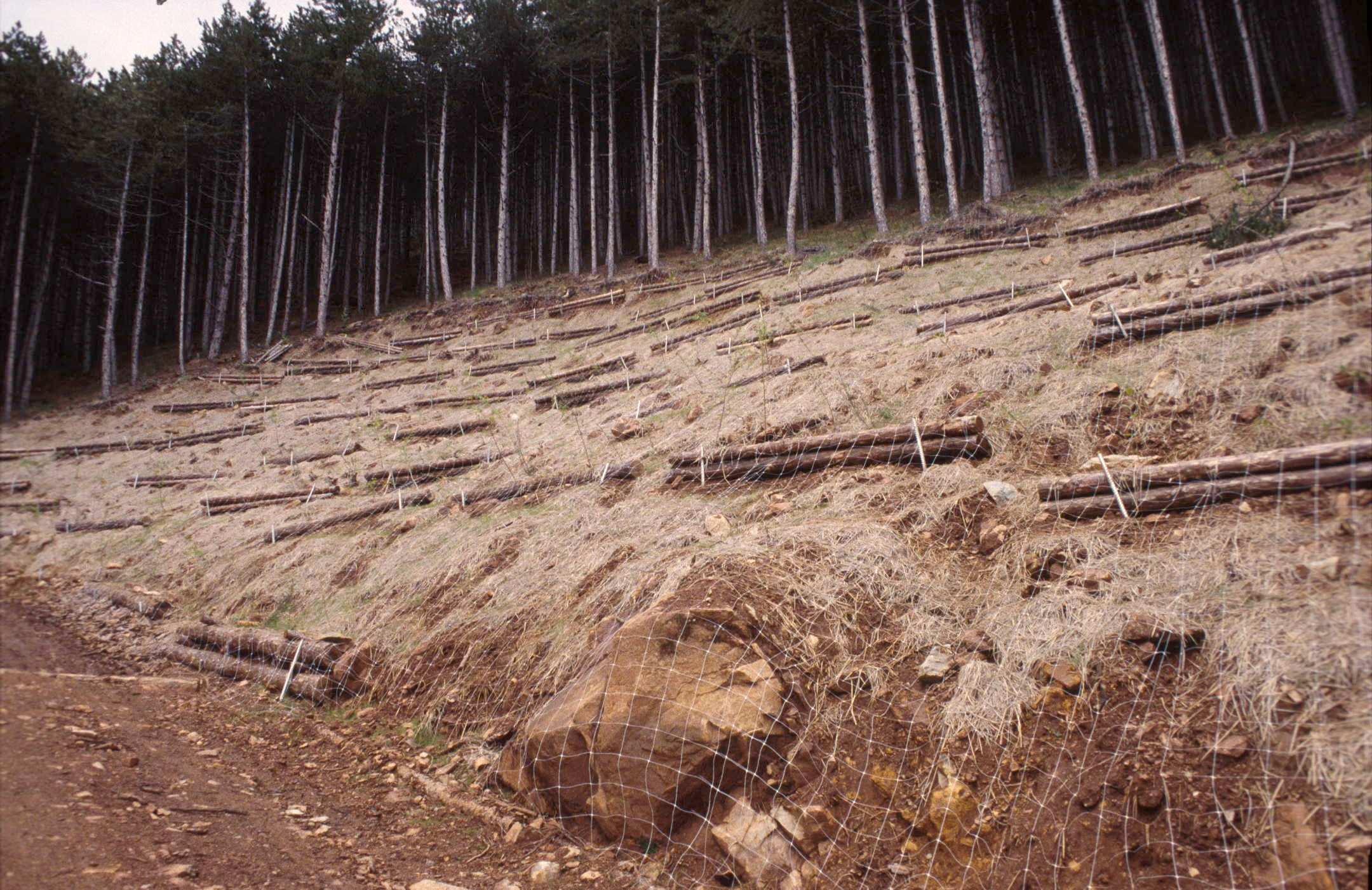 Fig. 97-98-99-100: tecniche di sistemazione Ingegneria Naturalistica per il ripristino delle coltri superficiali: semina con coltre protettiva L idrosemina prevede l aspersione di una miscela