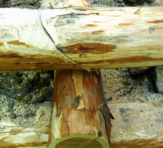 Nei giunti che si realizzano nel legno o tra legno e altri materiali è importante, se si rende necessaria la manipolazione dei tronchi (scavi di piccoli solchi per livellare il materiale e permettere