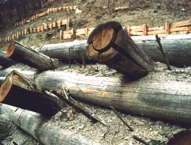 realizzazione di fondazioni di opere di strutture in legname. Infine può essere utilizzato in ambito idraulico per la realizzazione di opere trasversali quali le rampe di risalita per i pesci.