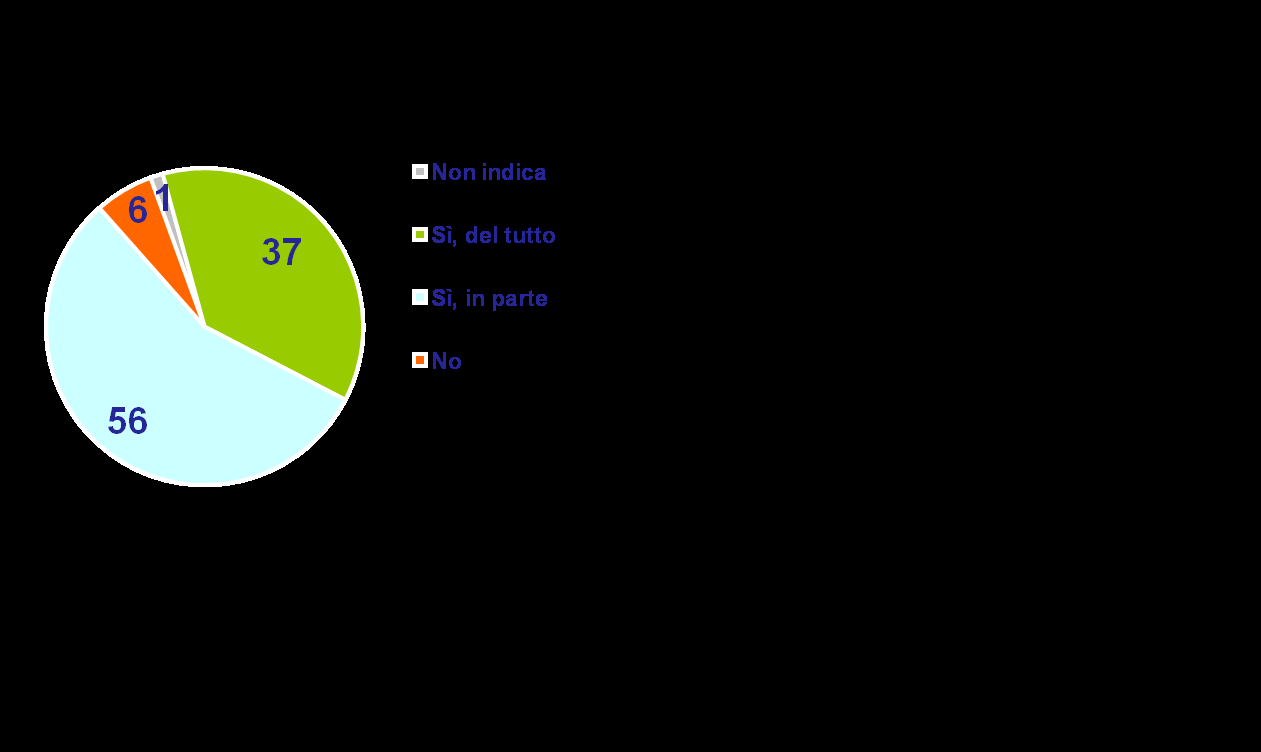 Il responsabile degli acquisti Per ciò che riguarda gli acquisti in famiglia, è Lei che se ne occupa?