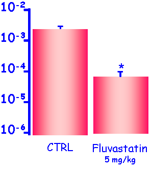 Espressione genica del ClC-1 misurata attraverso real-time PCR nel muscolo scheletrico di ratti trattati cronicamente con fluvastatina Il trattamento cronico