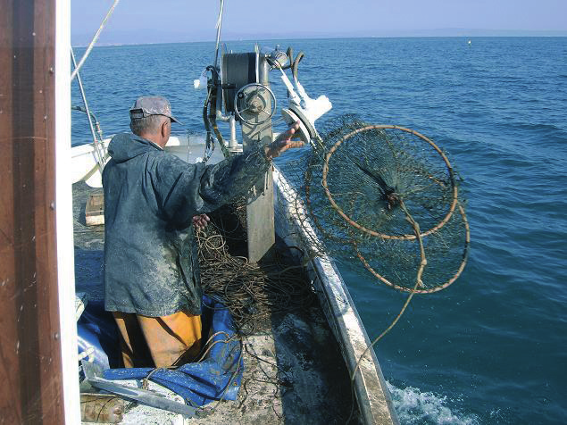 ADRI.BLU Tavolo BLU ADRIatico per la gestione sostenibile delle attività di pesca e delle risorse alieutiche dell Adriatico Settore: Pesca Capofila: Regione Emilia-Romagna (IT) Contatti Capofila: