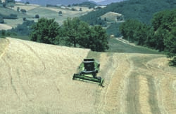 BIOADRIA ADRIATIC ORGANIC FARMING Settore: Agricoltura Capofila: Associazione Terre dell Adriatico (IT) Contatti Capofila: Gaetano Sinatti, e-mail: g.sinatti@adrialand.