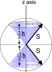 La eventuale risposta dello spin ad un campo magnetico esterno avrebbe separato le traiettorie degli elettroni con spin