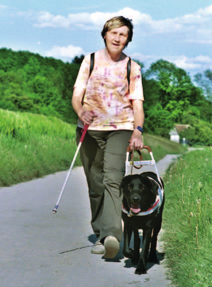 Il cane guida per ciechi e le sue capacità Il cane guida è un accompagnatore eccezionale che assicura al suo conduttore cieco o debole di vista una preziosa mobilità e gli sta accanto come compagno
