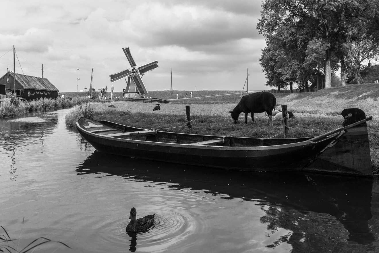 17/08/2013 Con il camper ci spostiamo ad Enkhuizen (pronunciato Enkaizen).