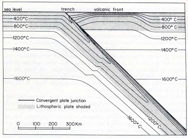 I margini convergenti sono sede di modificazioni termiche, indotte e mantenute attive dalla subduzione di litosfera oceanica fredda.