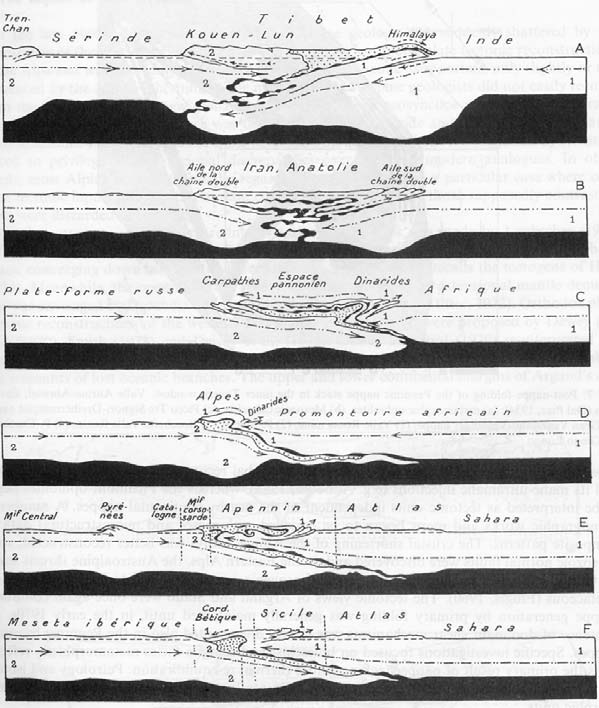 Fig. 4 - Collisione continentale ed ispessimento crostale nel sistema orogenico alpino-himalayano (Argand, 1924); bianco: crosta continentale; nero: substrato simatico (l attuale mantello).