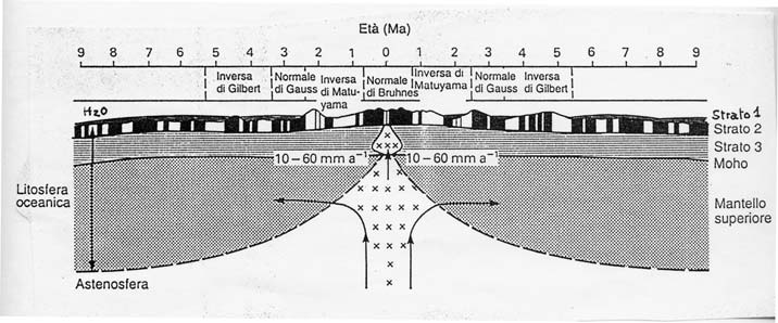 crosta di ogni oceano era suddivisa in fasce larghe 10-20 km (definite da specifici profili dell'anomalia) disposte in modo simmetrico rispetto all asse delle dorsali vulcaniche sommerse, situate al