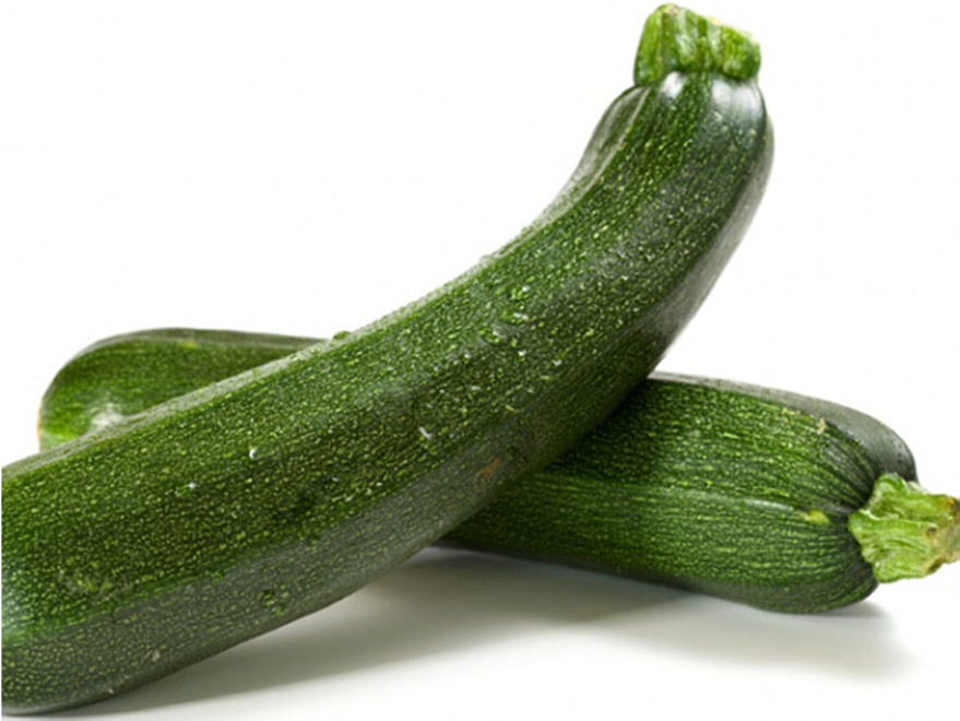 ZUCCHINO (Cucurbita pepo) È una specie erbacea a ciclo annuale, presenta un fusto angoloso irsuto di notevole spessore,