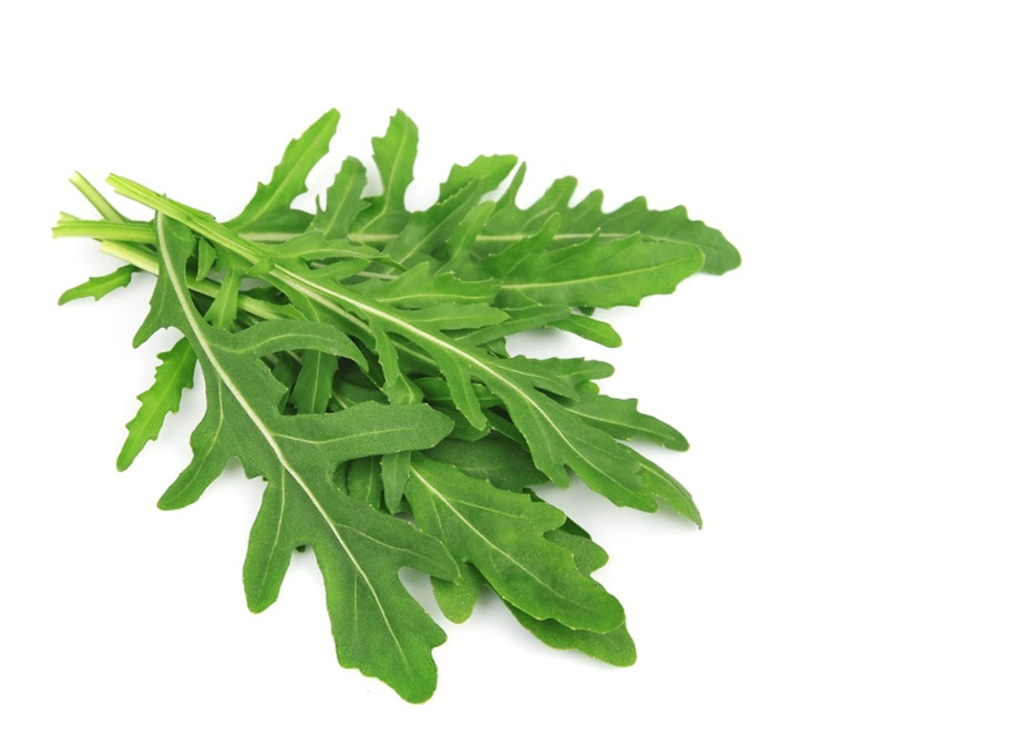 RUCOLA (Eruca vesicaria) È una specie erbacea a ciclo annuale.