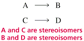 Una reazione stereospecifica: ogni reagente stereoisomero produce un diverso prodotto stereoisomero o un diverso insieme di prodotti Stereochimica dell addizione elettrofila Reazioni degli alcheni