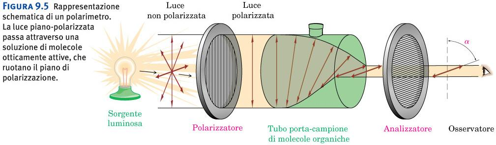 Figura 9.5 Rappresentazione schematica di un polarimetro. La luce piano-polarizzata passa attraverso una soluzione di molecole otticamente attive, che ruotano il piano di polarizzazione.