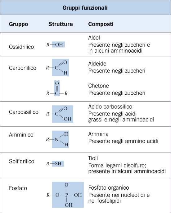 La grande varietà di biomolecole I gruppi funzionali sono combinazioni