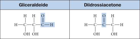 Gli isomeri Le molecole organiche che hanno identica formula molecolare (sono cioè formate dallo stesso tipo e numero di atomi), ma che differiscono per