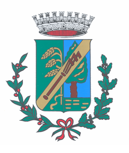 Decreto del Sindaco N.