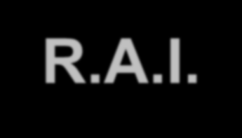 Il Risultato Ante Imposte R.A.I. Misura la capacità complessiva della concessionaria di produrre dei risultati economici prima