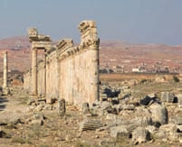 Breve visita della città di Amman, una città di contrasti, un misto di antico e moderno. Partenza per Kerak e visita al Castello dei Crociati. Arrivo a Petra e sistemazione in albergo.