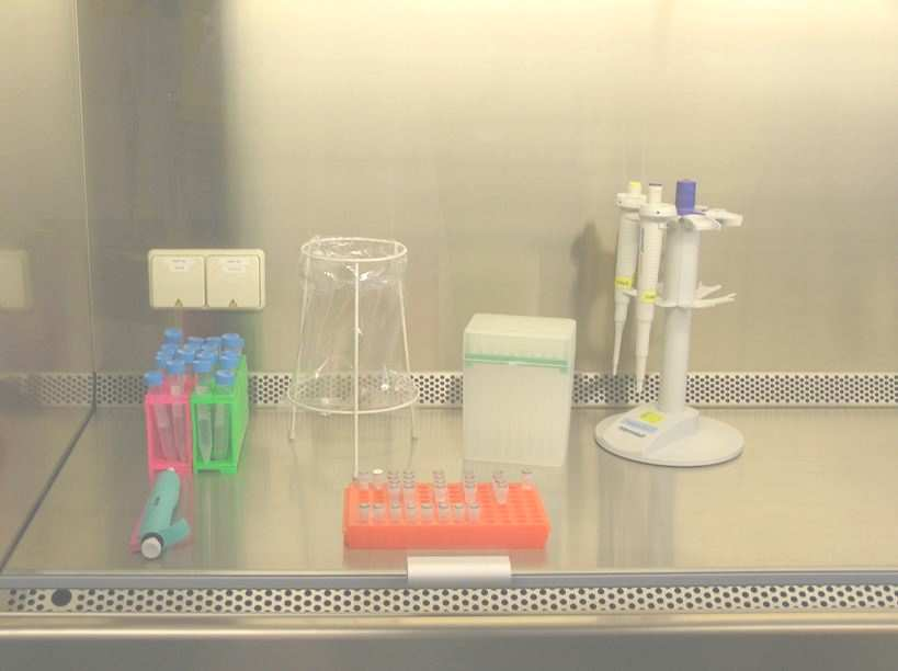 Spazi di lavoro Le superfici all interno della cappa a flusso laminare / cabina PCR devono essere pulite con reagente di decontaminazione DNA Decontaminare con lampada UV light Tenere sotto cappa