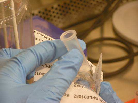 laboratorio o usato fuori cappa/cabina PCR Fare attenzione a non toccare le superfici del materiale monouso che entrano in contatto col campione (bordo o la filettatura delle vials) Durante le