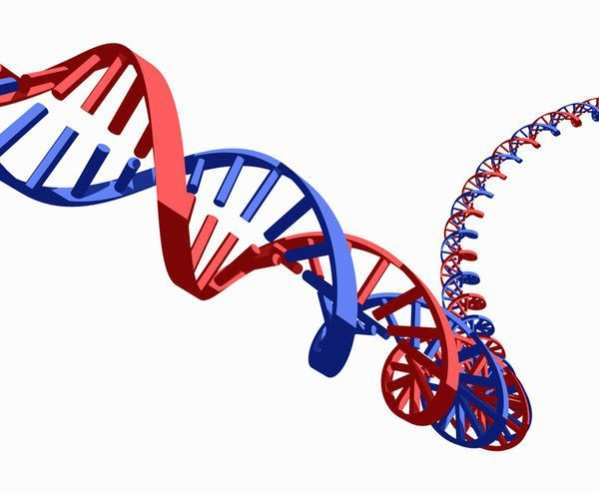 con nested multiplex PCR