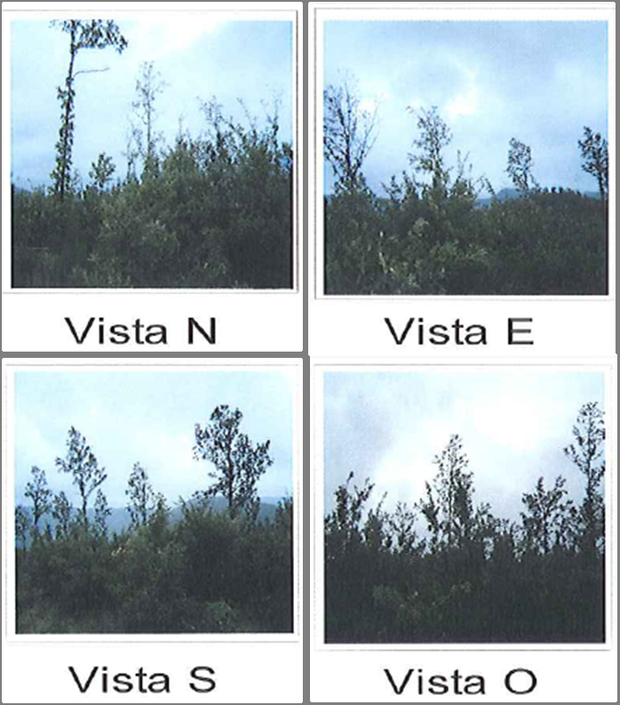 Analisi anemometrica, Figura 10 Rappresentazione delle