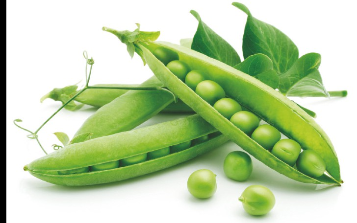 PISELLI (Pisum sativum) In base al colore dei semi i piselli vengono distinti in varietà di color verde chiaro e di color verde scuro.