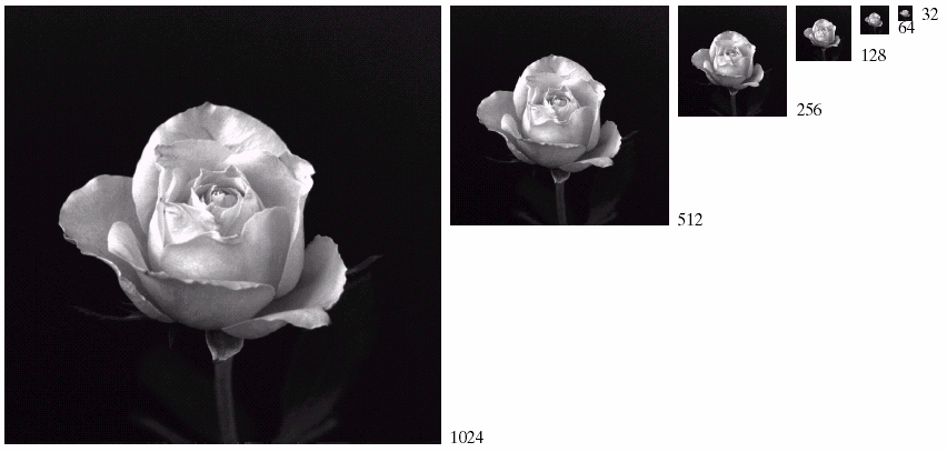 L immagine digitale Un'immagine digitale monocromatica è una matrice Y(i,j) di valori discreti di intensità luminosa (livelli di grigio).