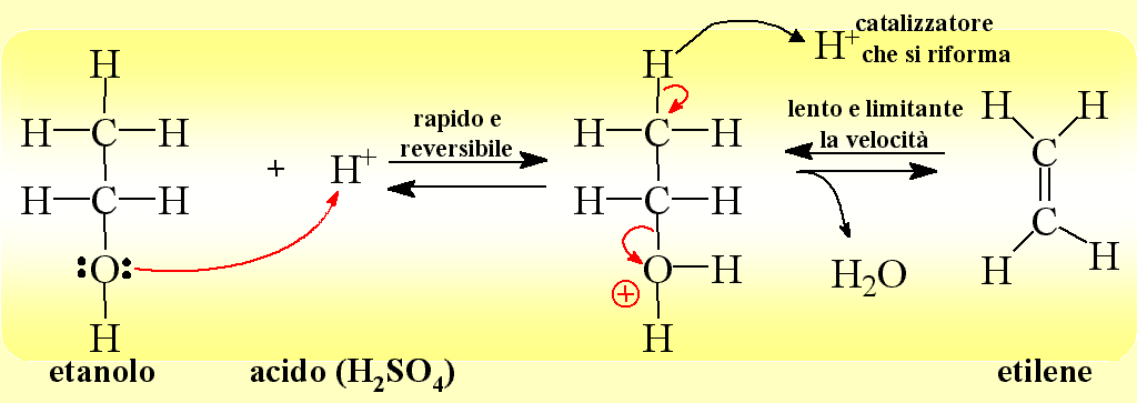 Disidratazione di un alcol primario in ambiente acido Il meccanismo della rezione è E2 L alcol è protonato dall acido e quindi la velocità dipende sia dalla concentrazione dell acido che da