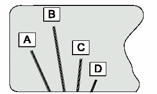 Si sa che il riscaldatore fornisce calore al campione con una potenza di 50 W.